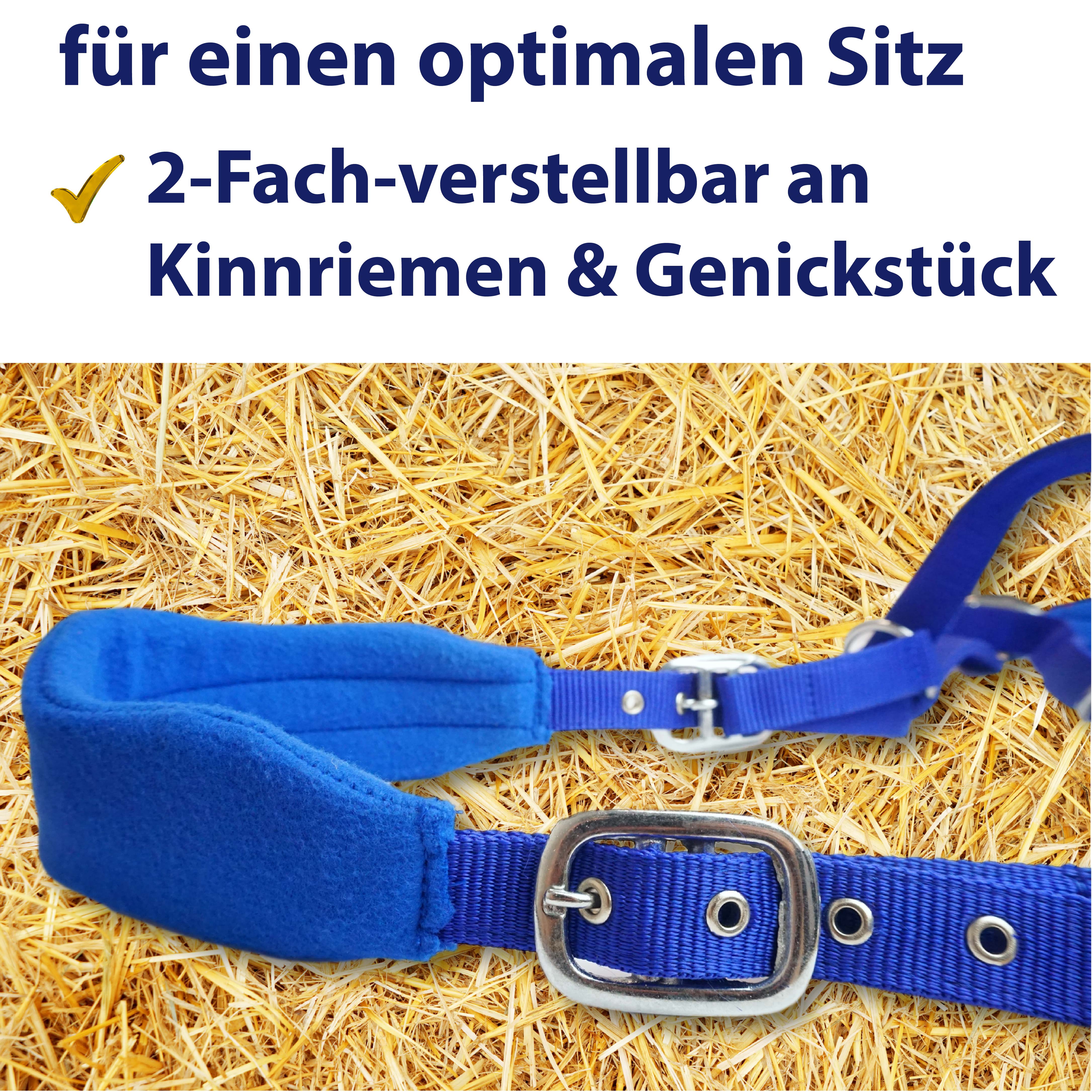 Halfter für Pferde mit Fleece